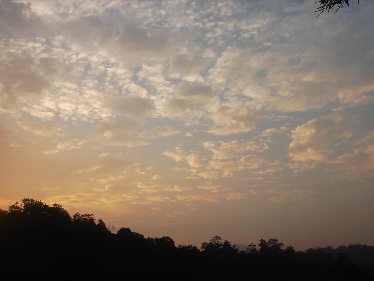 Wild Elephant Eco Friendly Resort Munnar Exterior foto