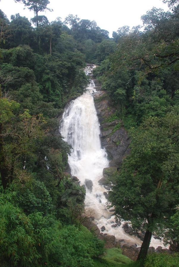 Wild Elephant Eco Friendly Resort Munnar Exterior foto