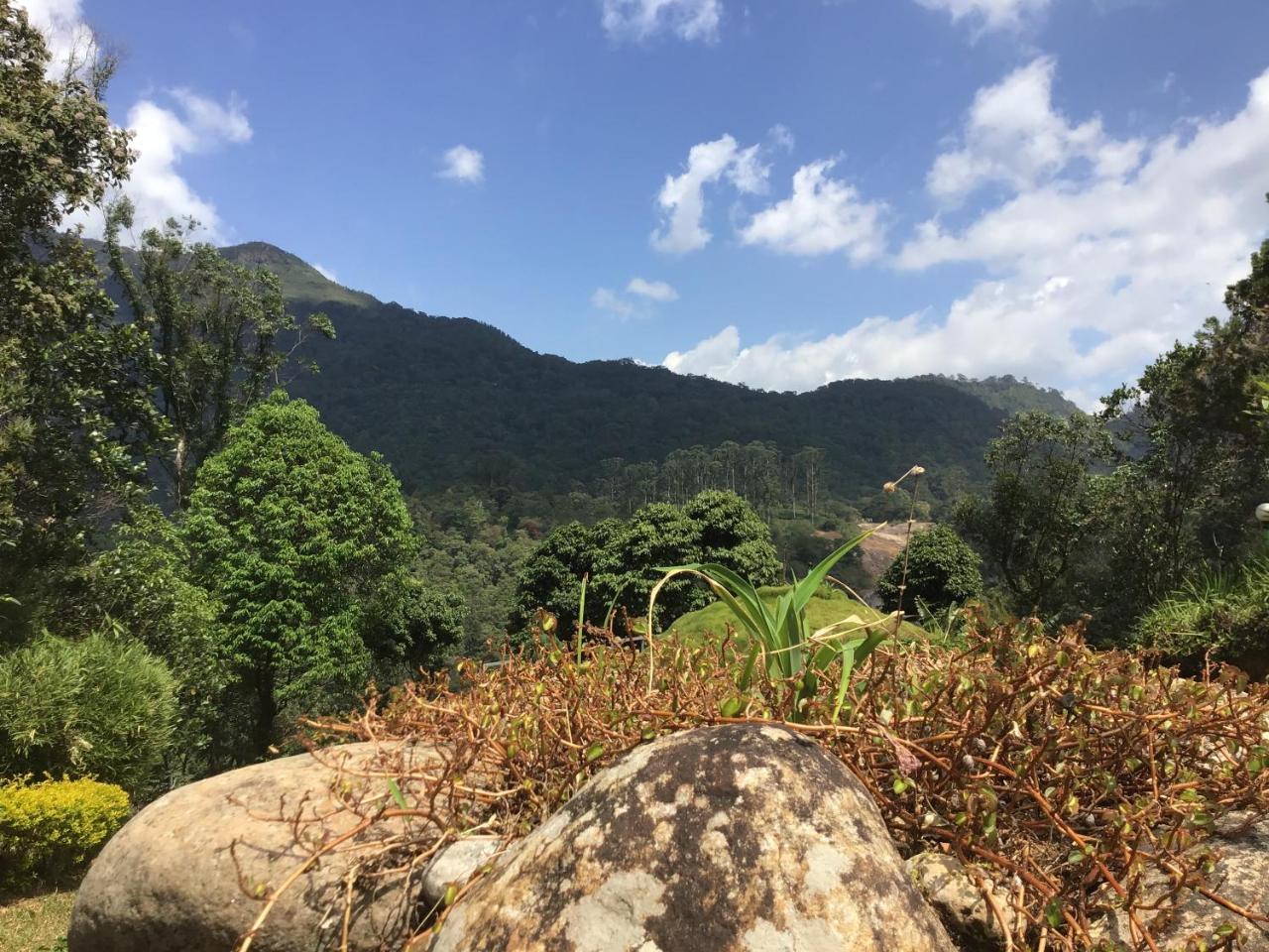 Wild Elephant Eco Friendly Resort Munnar Exterior foto