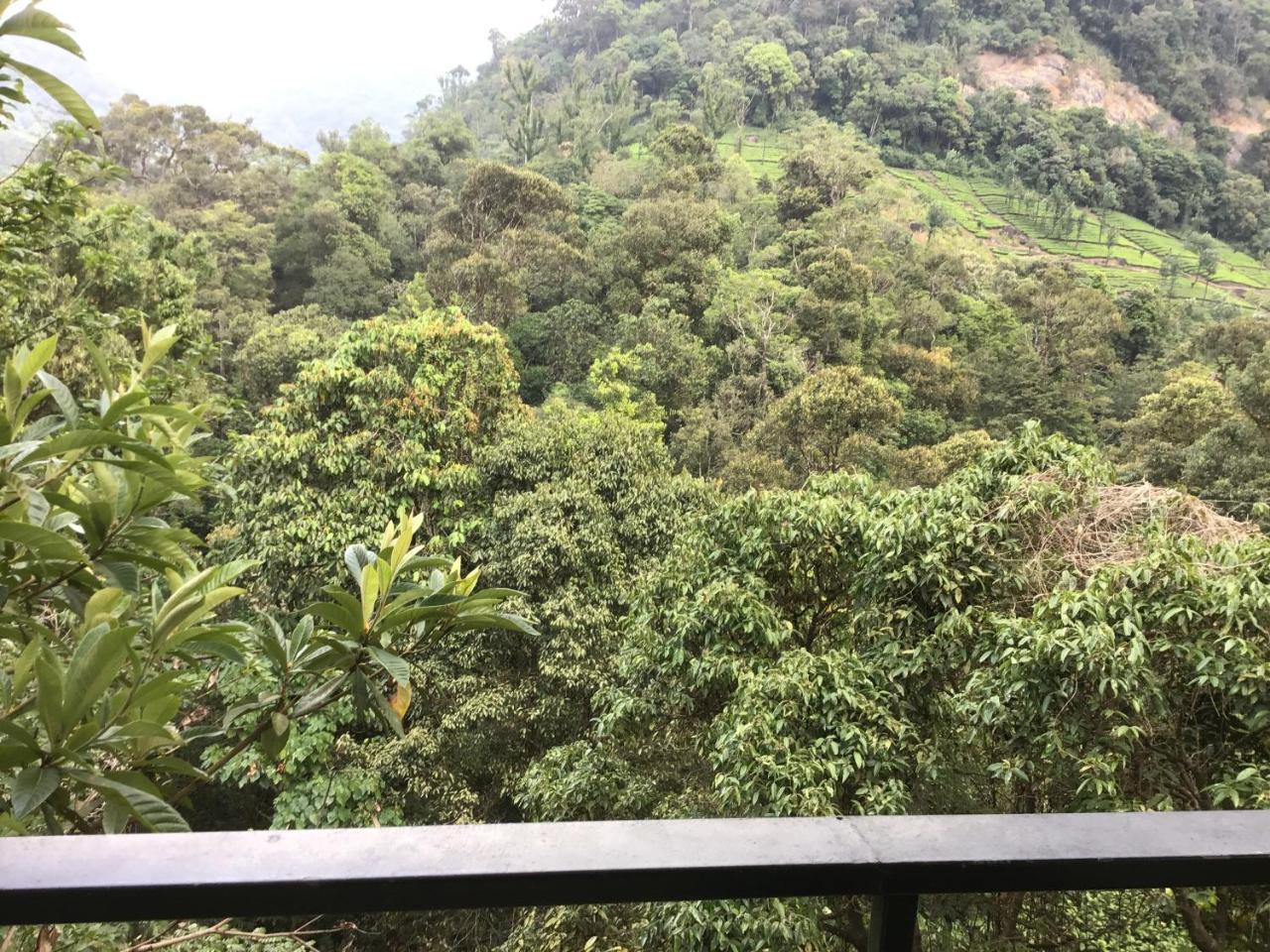 Wild Elephant Eco Friendly Resort Munnar Exterior foto